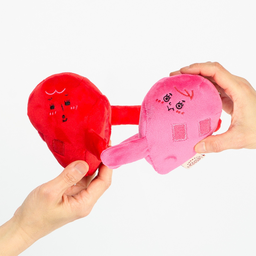 The Furryfolks - Love Locked Nosework Toy