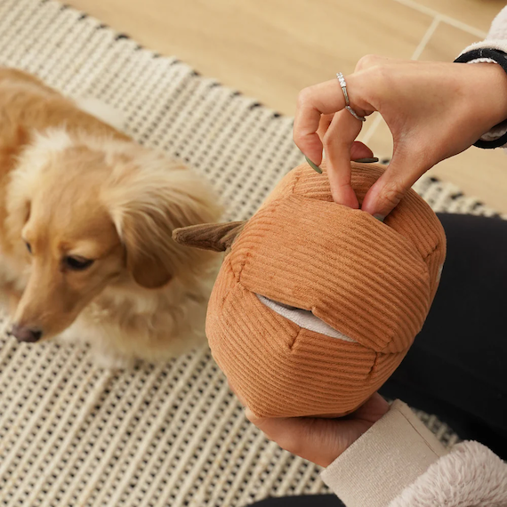 Lambwolf Collective - Cindarella Dog Toy