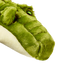 Fluff & Tuff - Big Daddy Gator