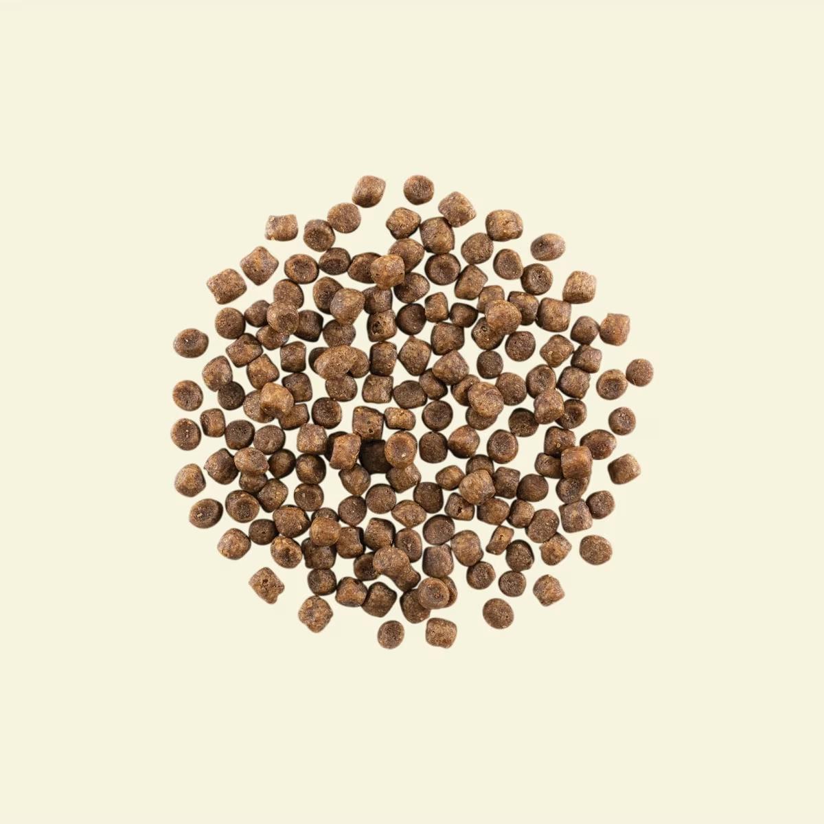 Now Fresh - Dry Cat Food