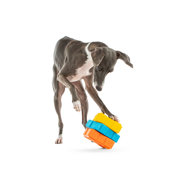 Guru - Dog-X-Cube Treat Dispenser