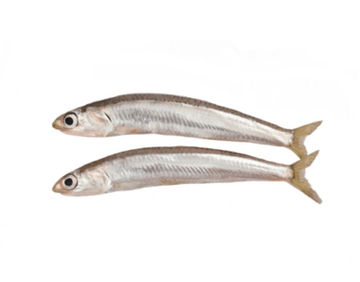Evolution Raw - Whole Wild-Caught Lake Smelt - 2 lb