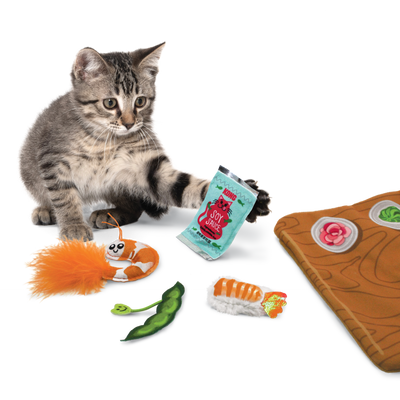 Kong - Cat Toys - Pull-a-Partz - Sushi