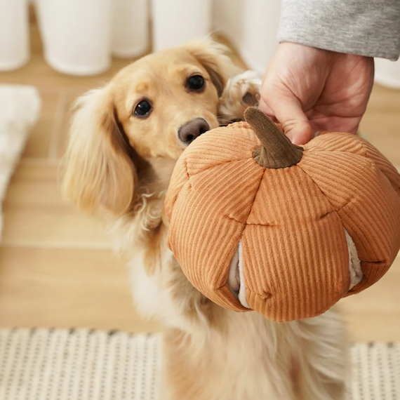 Lambwolf Collective - Cindarella Dog Toy