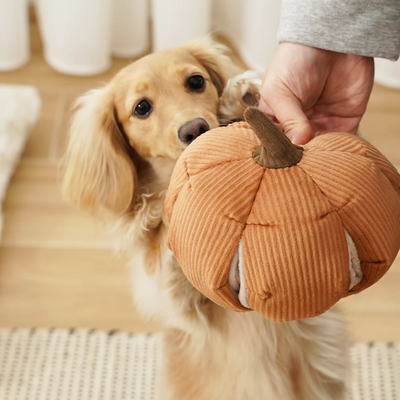 Lambwolf Collective - Cindarella Dog Toy