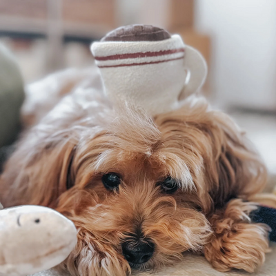 Lambwolf Collective - Expresso Pop Dog Toy