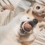 Lambwolf Collective - Expresso Pop Dog Toy