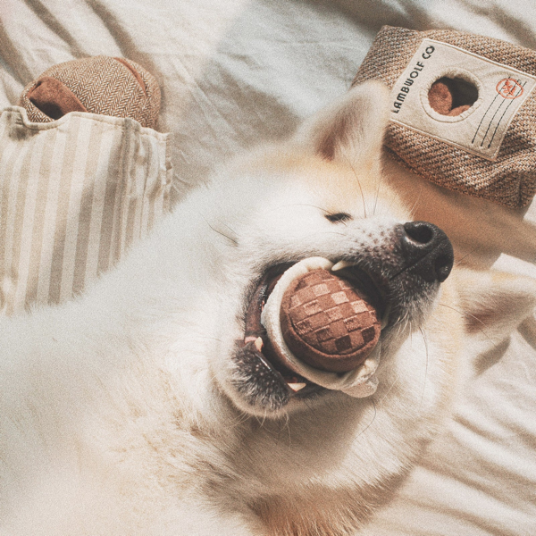 Lambwolf Collective - Expresso Pop Dog Toy