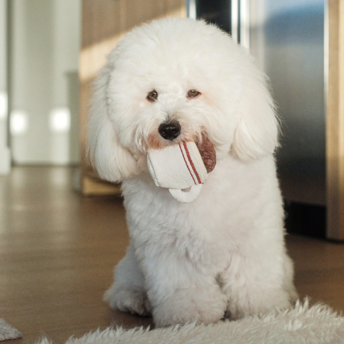 Lambwolf Collective - Expresso Pop Dog Toy