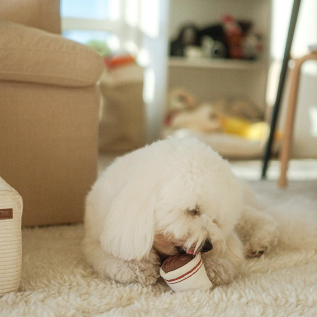 Lambwolf Collective - Expresso Pop Dog Toy