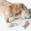 Lambwolf Collective - Sardines Dog Toy