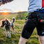 Non-stop Dogwear - CaniX Belt 2.0