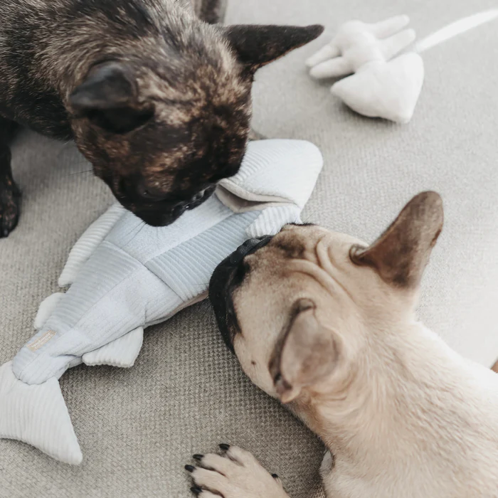 Lambwolf Collective - Trout Burrow & Snuffle Dog Toy