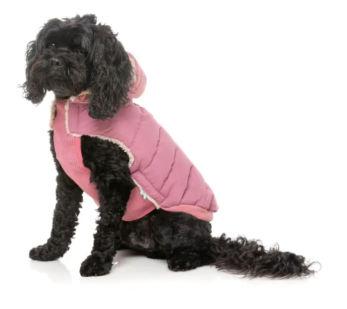 Fuzzyard - Essential Puffer Jacket