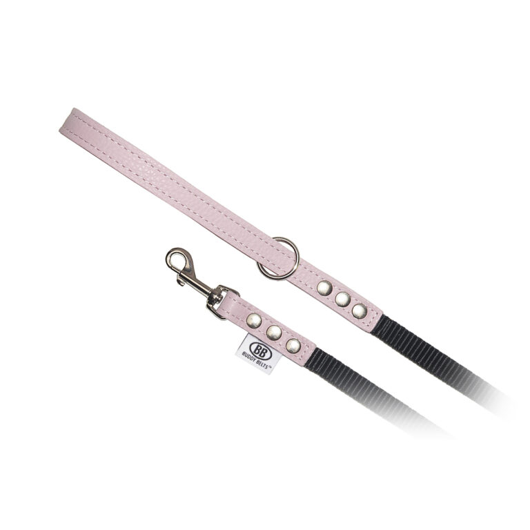 Buddy Belts - Nylon Accent Leash