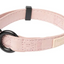 Fuzzyard Life - Dog Collar