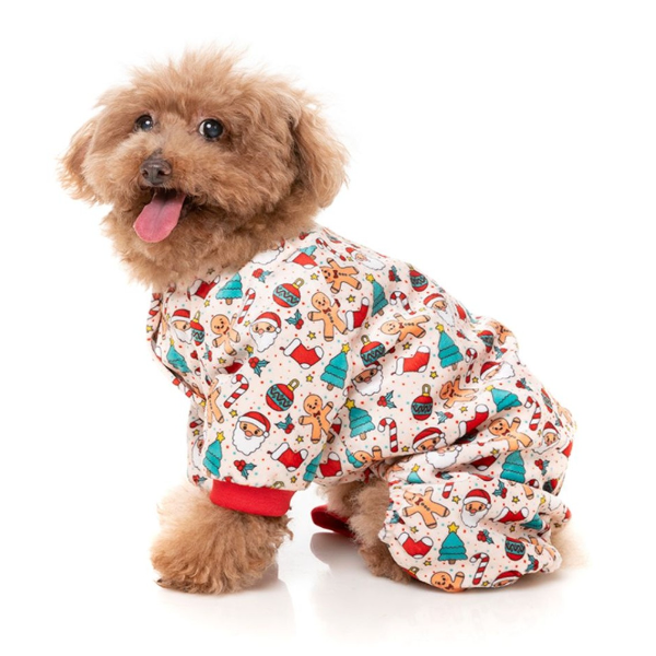 Dogs in pyjamas hotsell