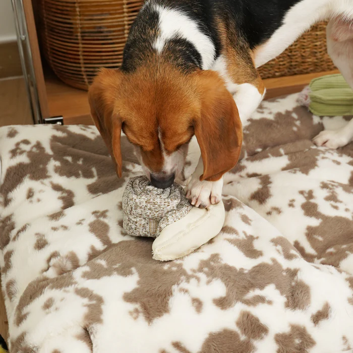 Lambwolf Collective - Snail Dog Toy