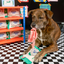 The Furryfolks - Doggo Cleaning Sheets Nosework Toy