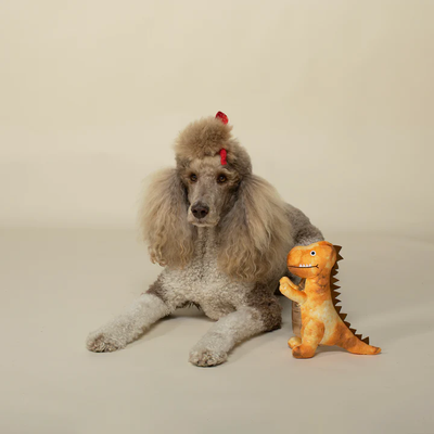 Fringe - Chomp, Stomp, Rawr Dog Toy