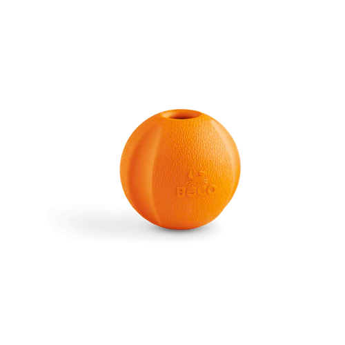 Beco - Fetch Ball