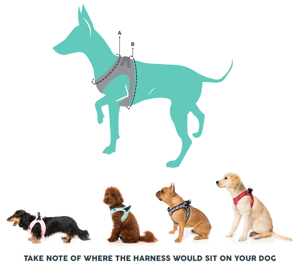 Fuzzyard dog harness 2025