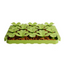Tall Tails - Foraging Mat for Dogs - Clover
