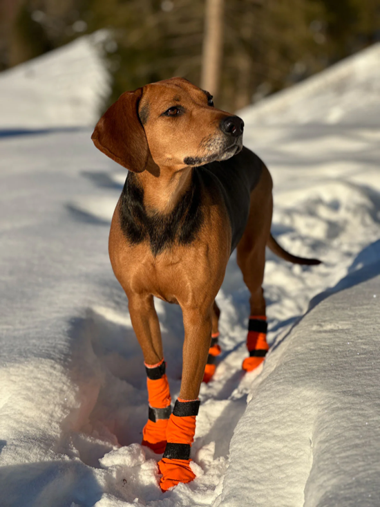 Non-stop Dogwear - Contact Bootie High