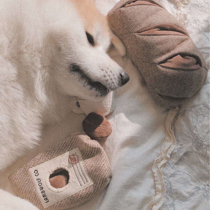 Lambwolf Collective - Coffee Beans Dog Toy