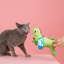 Fringe - Hop on By Cat Toy