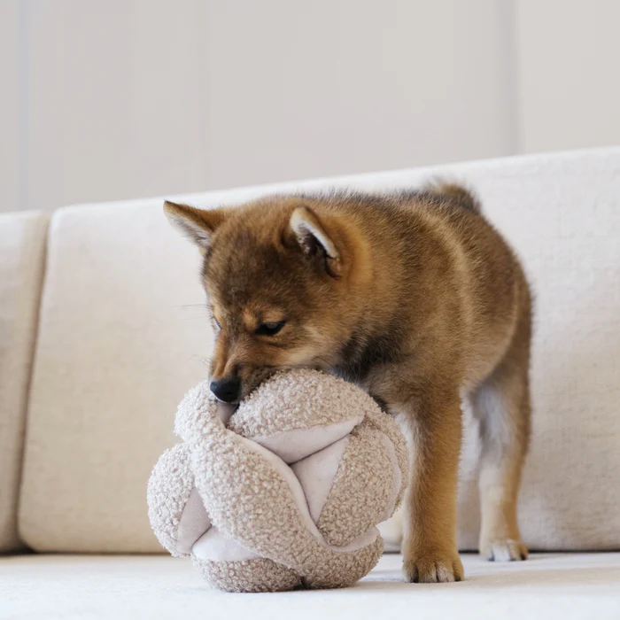 Lambwolf Collective - Monti Dog Toy