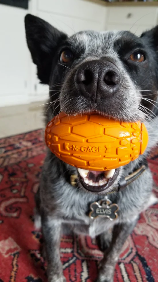 N-Gage - Squeaker Football