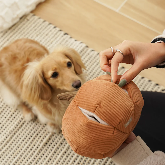 Lambwolf Collective - Cindarella Dog Toy