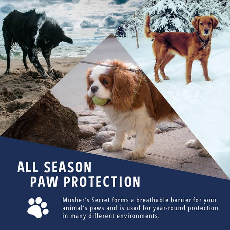 Musher's secret online paw protection