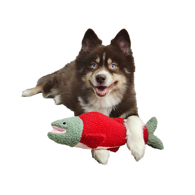 Dog Star - Seymour the Salmon