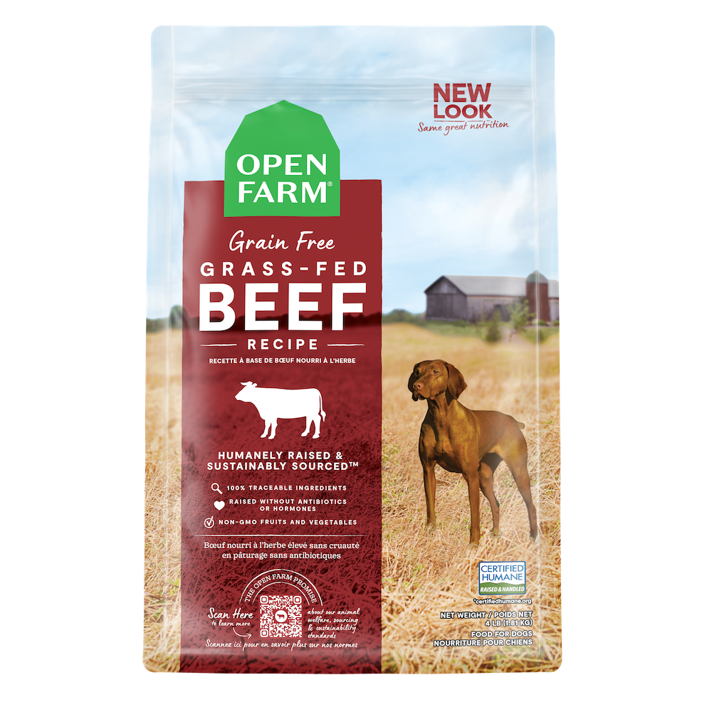 Grain free deals better for dogs