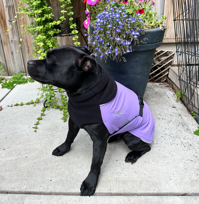 Chilly Dogs - Great White North Coat - Standard Fit - LAVENDER PRESALE!!!!!