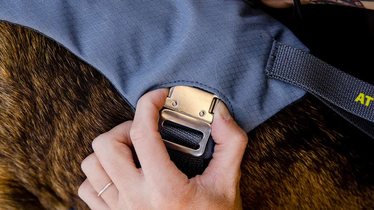 Ruffwear dog car 2024 harness