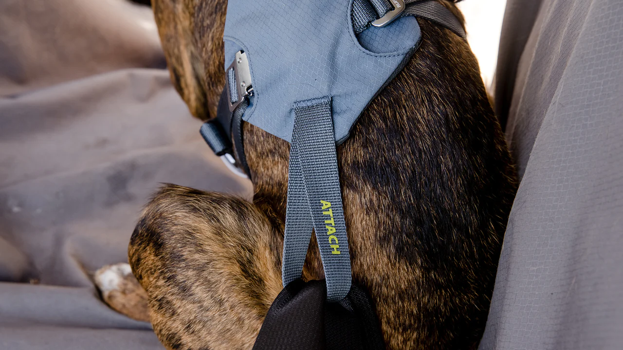 Load up harness hotsell