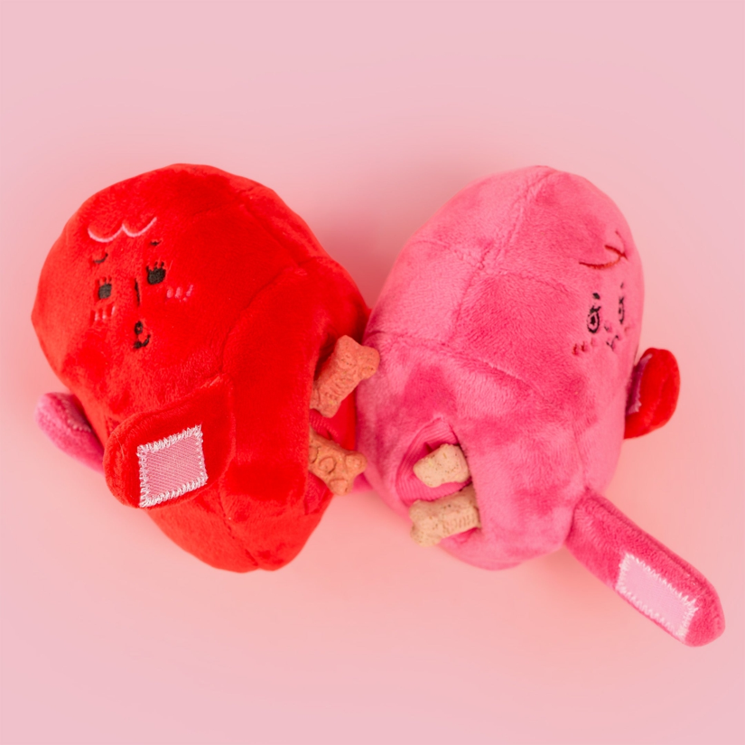 The Furryfolks - Love Locked Nosework Toy