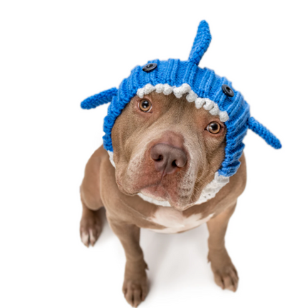 Zoo Snoods - Baby Blue Shark