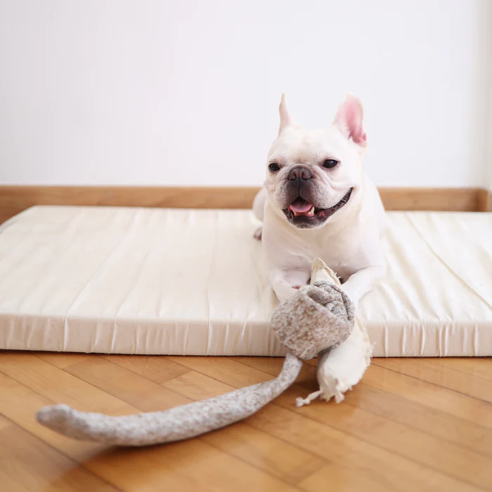 Lambwolf Collective - Snail Dog Toy