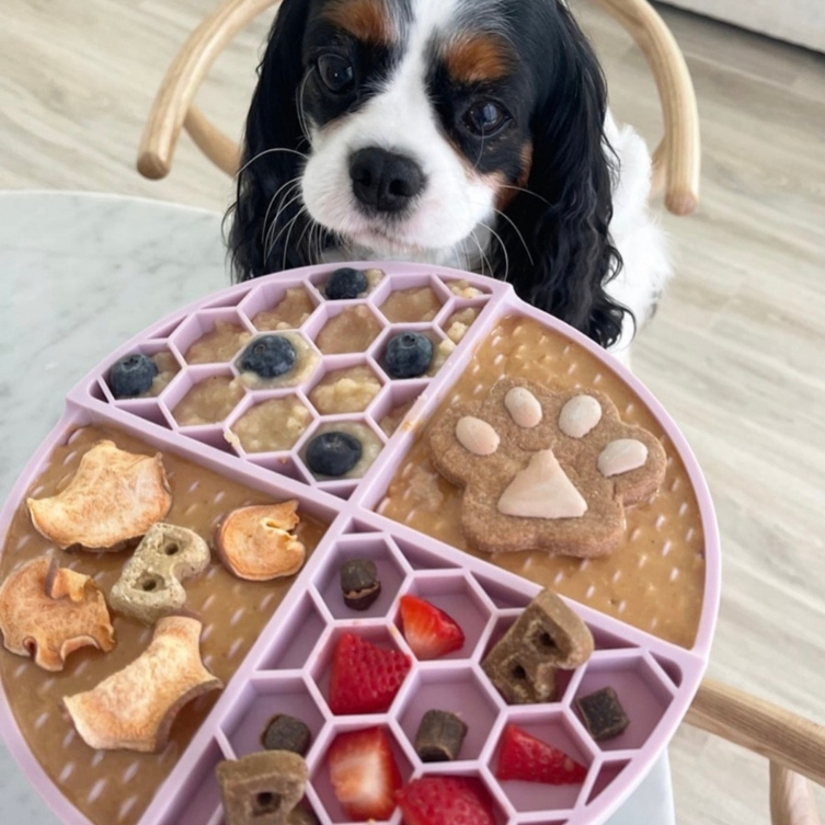 Bark Bistro - Valentine's Day Sweetheart Buddy Budder Peanut Butter Squeeze Pack