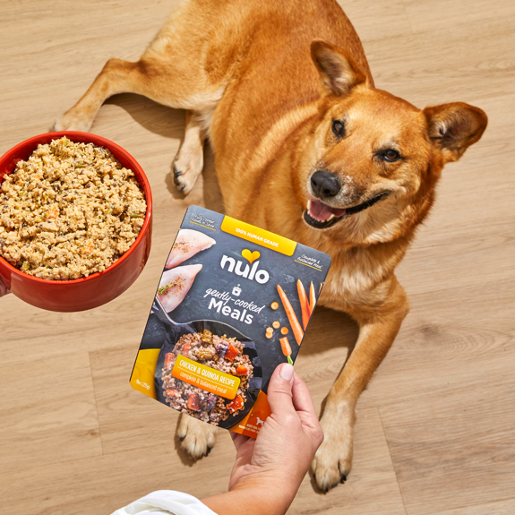 Nulo - Gently-Cooked Meals for Dogs