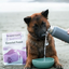 Red Dog Blue Kat - Everyday Anywhere Freeze-Dried Dog Food