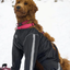 Fou Fou All-Weather Pants