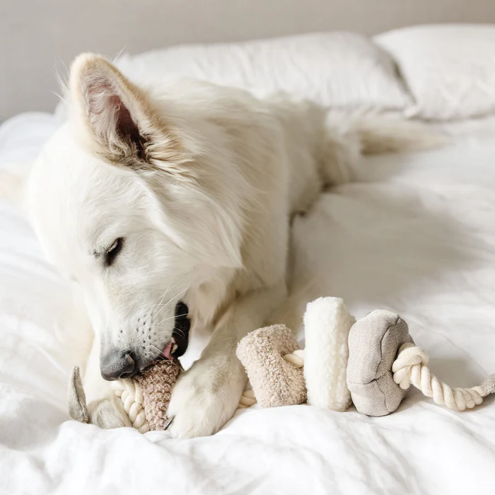 Lambwolf Collective - BLOCS Dog Toy