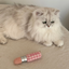 Lambwolf Collective - Kitty Lipstick Dog Toy