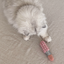 Lambwolf Collective - Kitty Lipstick Dog Toy