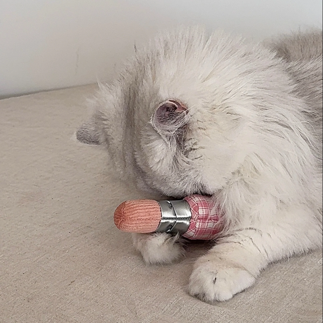 Lambwolf Collective - Kitty Lipstick Dog Toy